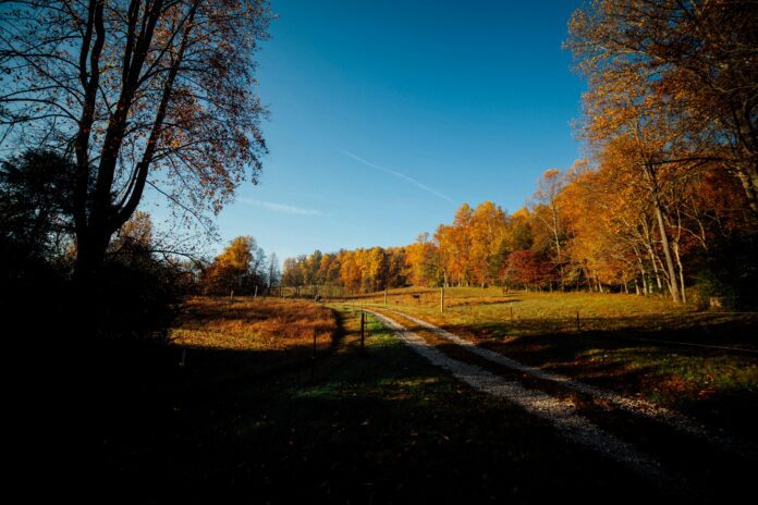 Frozen Head State Park trail Tennessee